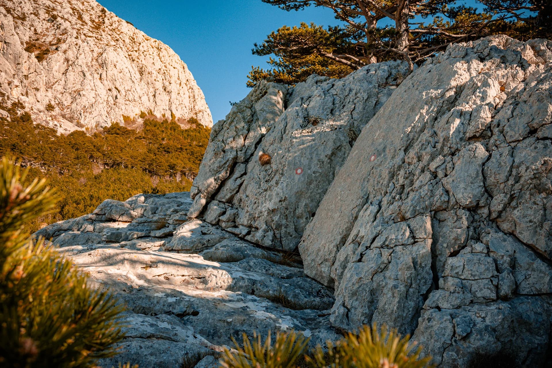 A rocky mountain path winding between pale limestone and low trees.
