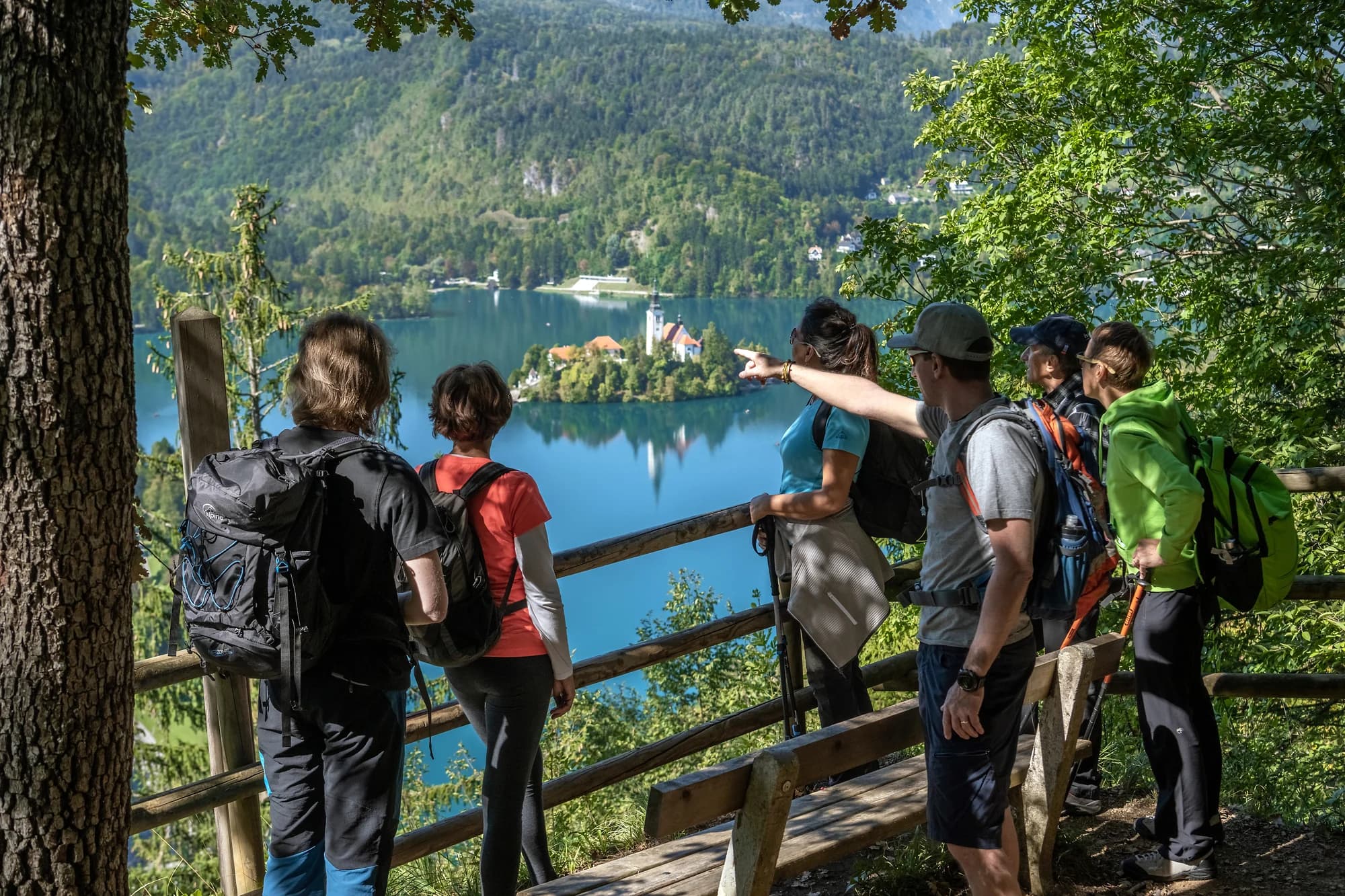 A group looking towards Bled's island from a wooded lakeside viewpoint.