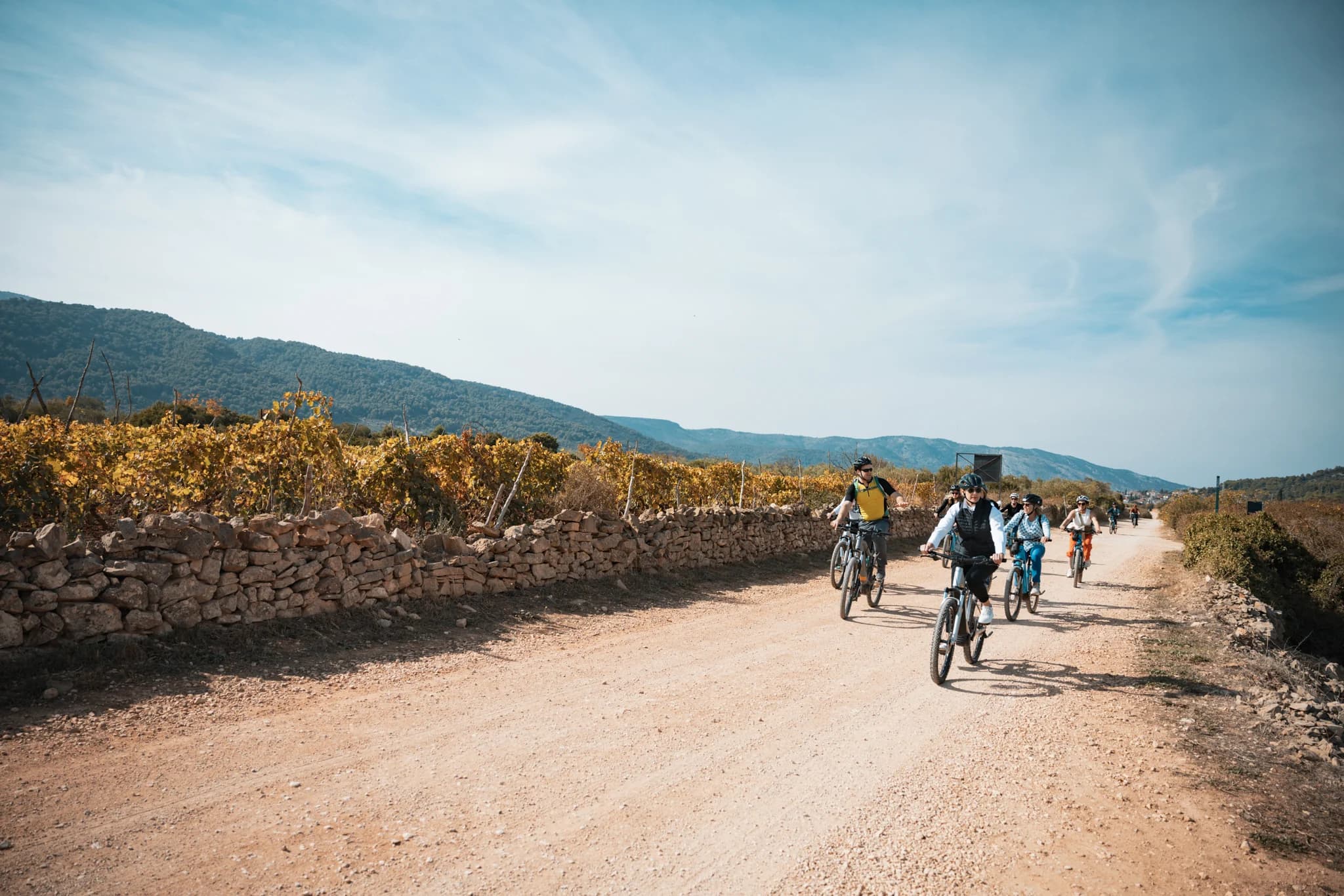 A group cycling along a pale country road beside stone walls and fields.
