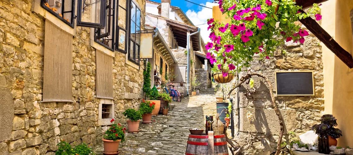 Stone houses and flowerpots along a narrow cobbled lane.