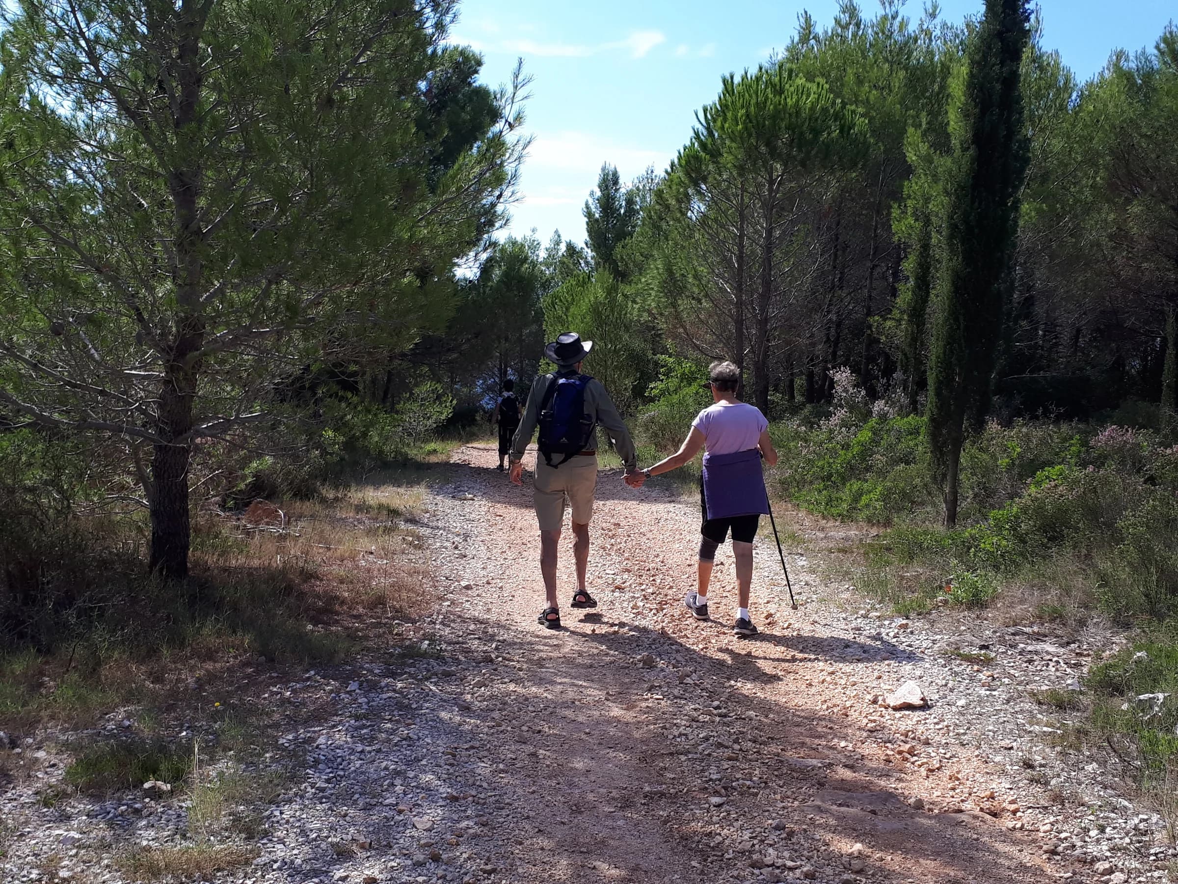 Two hikers walking away along a stony path through trees.