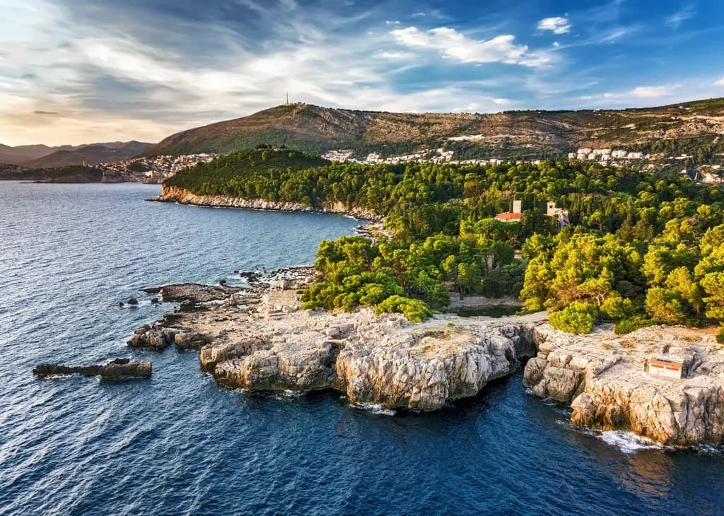 Aerial view of Lokrum's wooded shoreline and pale coastal rocks.
