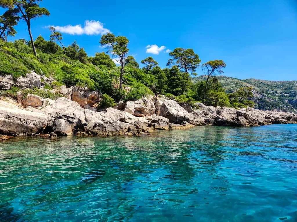 Clear blue water along Lokrum's rocky shore beneath pine trees.