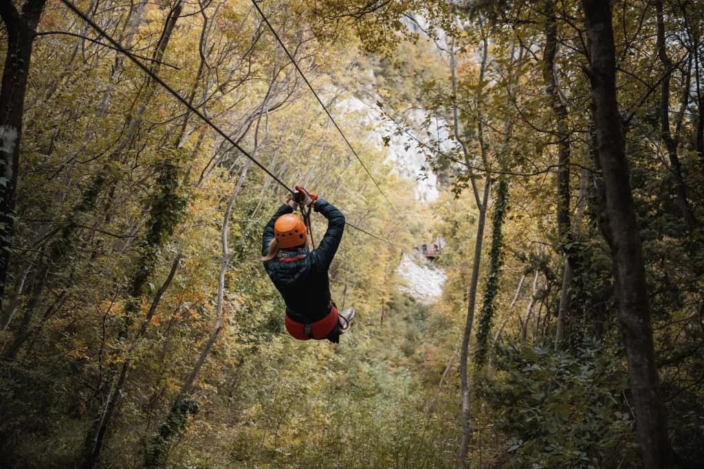 A helmeted participant travelling along a zipline through the trees.