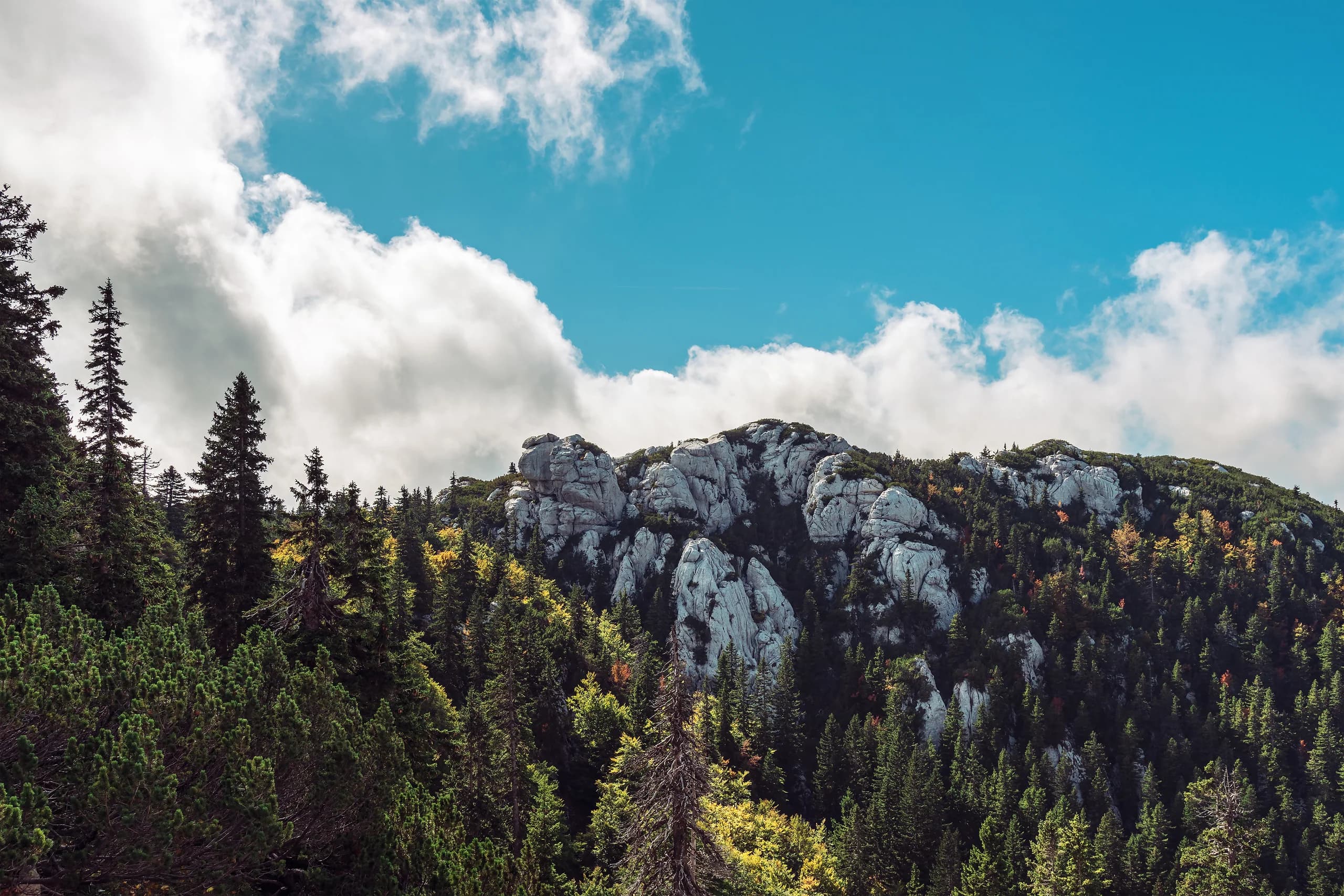 Clouds gather above a limestone ridge and dense mountain forest.