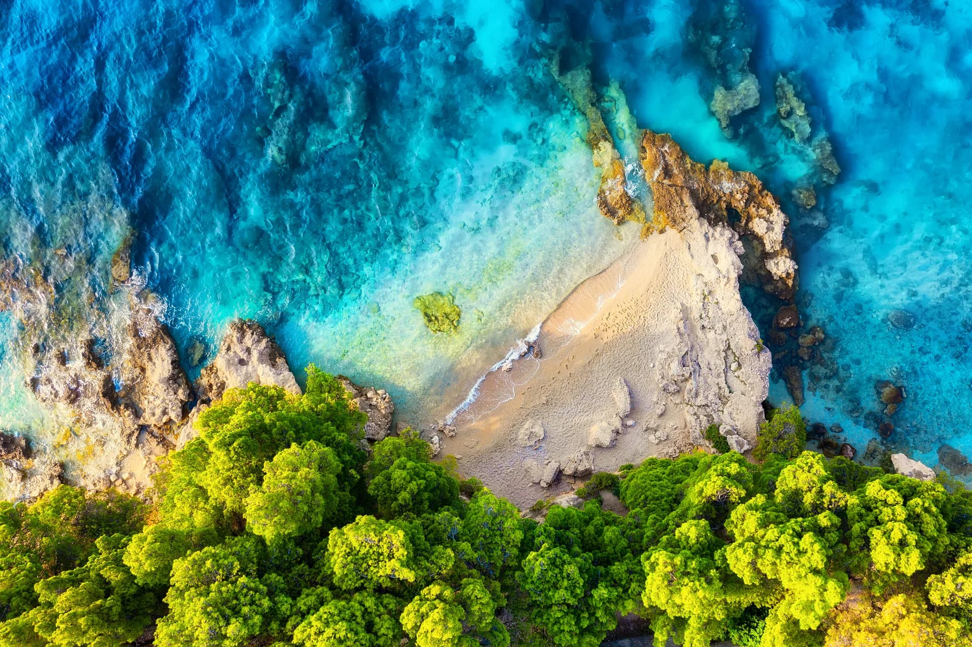 Clear water meets a small rocky cove sheltered by trees.